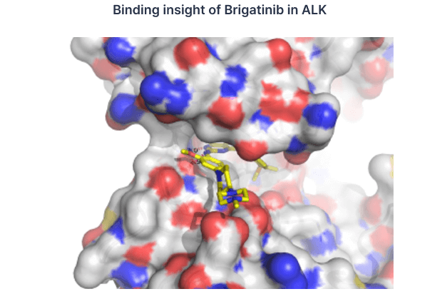 Binding insight of Brigatinib in ALK