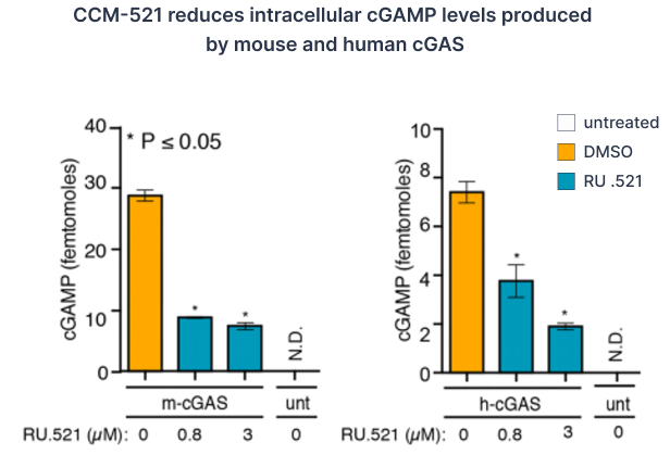 CCM-521 reduces intracellular cGAMP levels produced by mouse and human cGAS