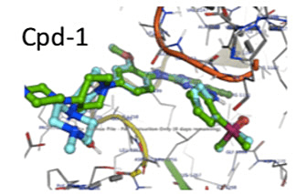 PDB: 6MX8