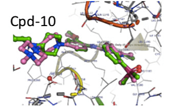 PDB: 6MX8