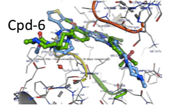 PDB: 6MX8