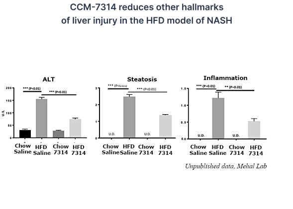 CCM-7314 reduces other hallmarks of liver injury in the HFD model of NASH