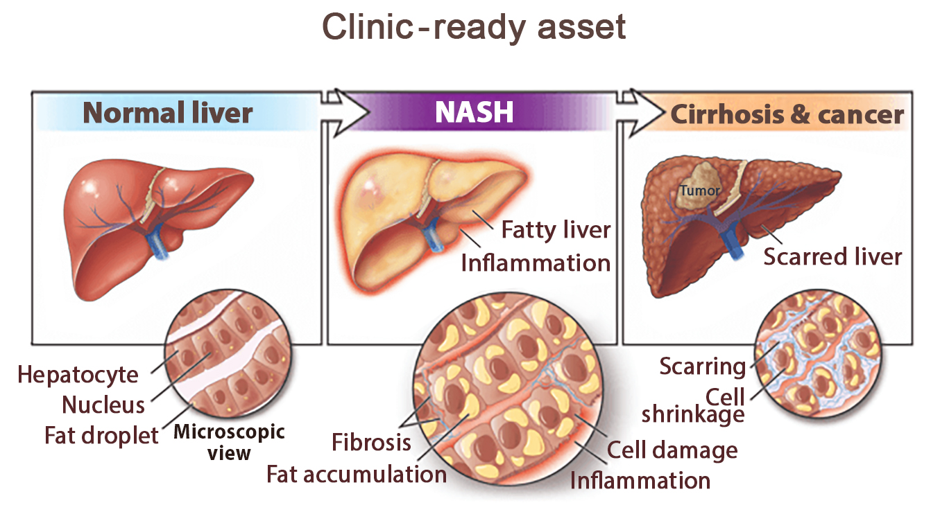 Clinic-ready asset