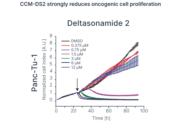 CCM-DS2 strongly reduces oncogenic cell proliferation