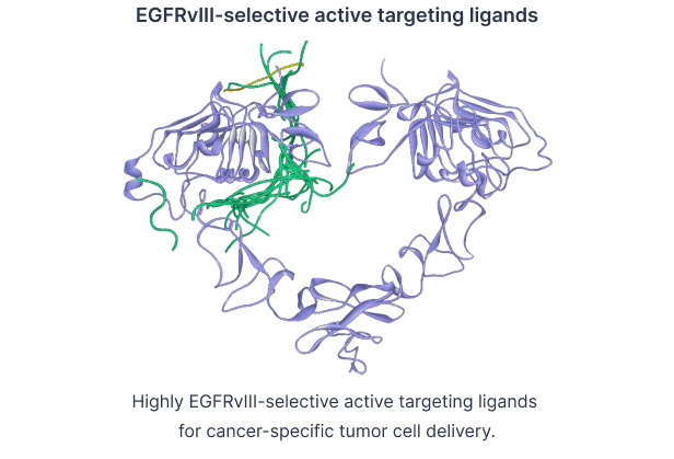 EGFRvIII-selective active targeting ligands