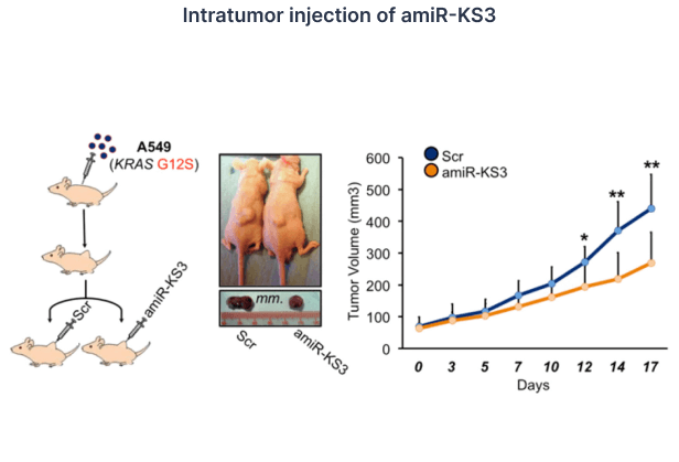 Targeting KRAS in metastatic CRC